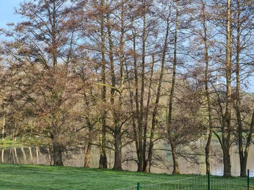 a group of trees in a field next to a fence at LA TANIÈRE in Gueures