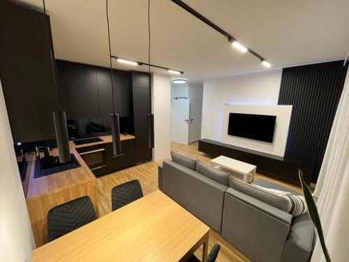 Televisyen dan/atau pusat hiburan di Apartamenty Cieszyn