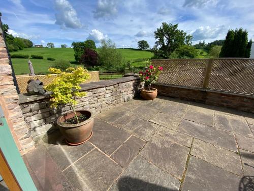 two potted plants on a patio with a stone wall at Mallards Barn on a rural farm in Dingestow