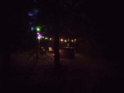 a green traffic light at night with a tree at domek w zaczarowanym lesie in Istebna