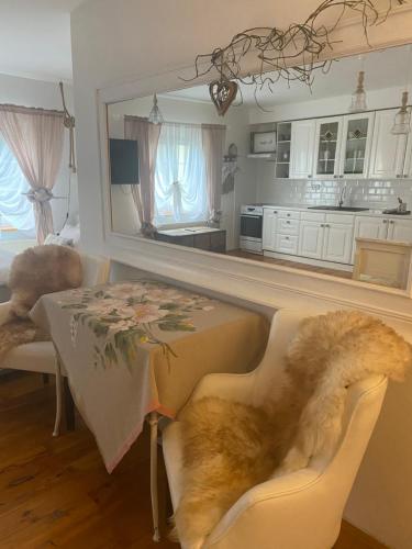 a dog laying on a chair at a table in a kitchen at Lomnice nad Popelkou in Lomnice nad Popelkou