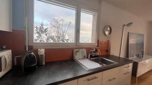 una cucina con lavandino e finestra di Swiss Paradise Weggis a Weggis