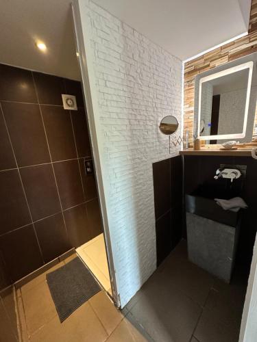 a bathroom with a shower with a sink and a mirror at L’Escale du lac in Brêmes