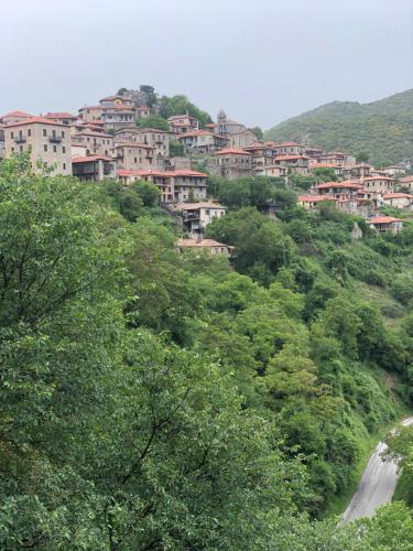 a group of houses on a hill with trees at GUESTHOUSE ''ΧΡΥΣΑ'' in Dhimitsana