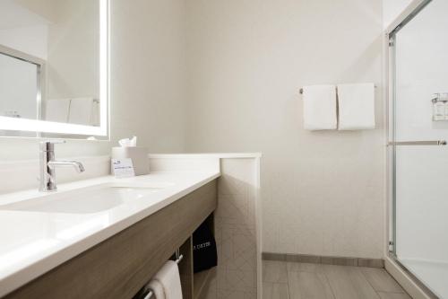 uma casa de banho branca com um lavatório e um chuveiro em Holiday Inn Express & Suites - Wilmington West - Medical Park, an IHG Hotel em Wilmington