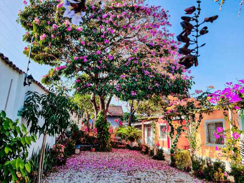 a tree covered in pink flowers next to a building at Guajira House in Ríohacha