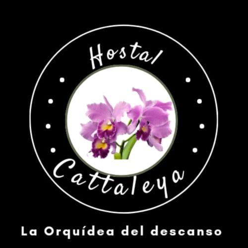 Certifikát, hodnocení, plakát nebo jiný dokument vystavený v ubytování Hostal Catalleya