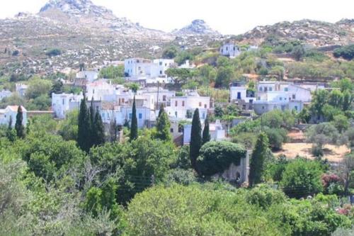 Příroda nedaleko vily