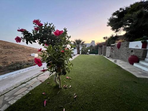 Φωτογραφία από το άλμπουμ του Ενοικιαζόμενα Διαμερίσματα Μυρτιά στα Κιόνια