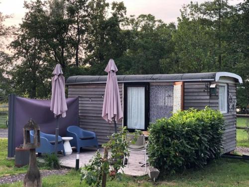 a tiny house with two umbrellas and a deck at Chateau Weiland in Gerkesklooster