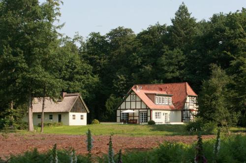 a house in the middle of a field with trees at Alte Schäferei - Kräuterkammer in Lüdersburg