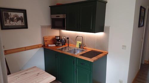 a kitchen with green cabinets and a sink at Lüdersburger Strasse 15d in Lüdersburg
