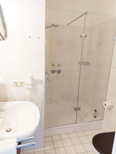 een badkamer met een douche, een wastafel en een toilet bij Herrenhaus Appartement 4 in Lüdersburg