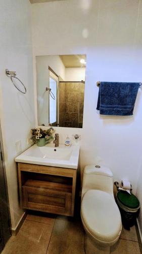 La salle de bains est pourvue de toilettes, d'un lavabo et d'un miroir. dans l'établissement Finca acogedora en Villeta con piscina privada, à Villeta