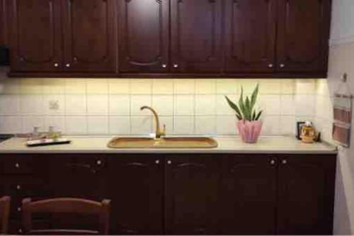 una cocina con fregadero y encimera en Little House, en Mouzákion