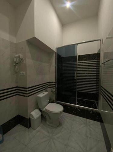 La salle de bains est pourvue d'une douche et de toilettes. dans l'établissement Apartment on Vera, à Tbilissi