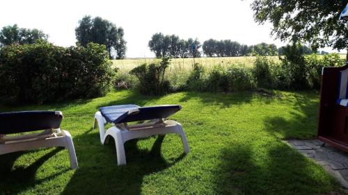 クルムホルンにあるWohnung in Pilsum mit Eigener Terrasseの庭の芝生に座る白いベンチ2つ