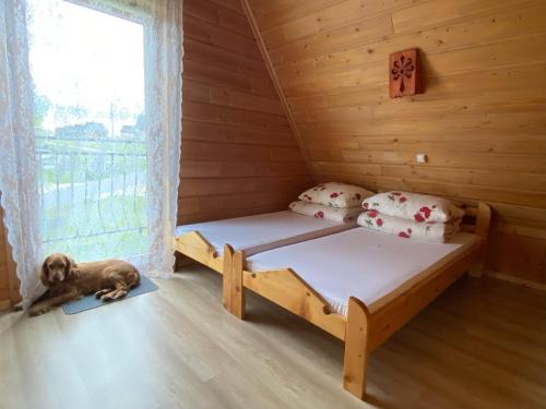 Voodi või voodid majutusasutuse Pokoje na Bachledówce toas