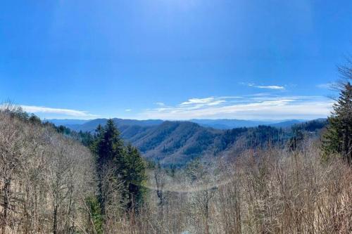 "Smoky Banjo Cabin" Epic Views & Total Privacy photo 24