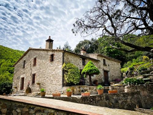 an old stone house with potted plants in front of it at El Buxaus de la Muntanya in Arbúcies