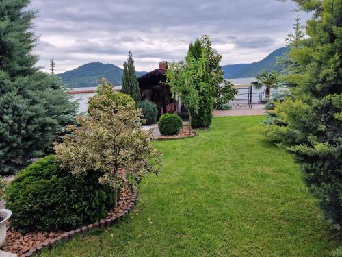 a yard with trees and a house at Casa Andrei in Orşova