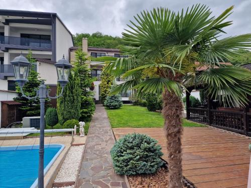 a palm tree in a garden next to a swimming pool at Casa Andrei in Orşova