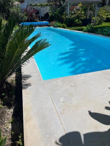 a blue swimming pool with a palm tree next to it at Casa Oliva - Casa da Serra in Porto de Mós