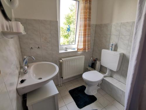 La salle de bains est pourvue de toilettes blanches et d'un lavabo. dans l'établissement FHKlützke Deichblick, à Kating
