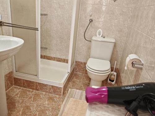 a bathroom with a shower and a toilet and a sink at Apartman Vera in Crikvenica