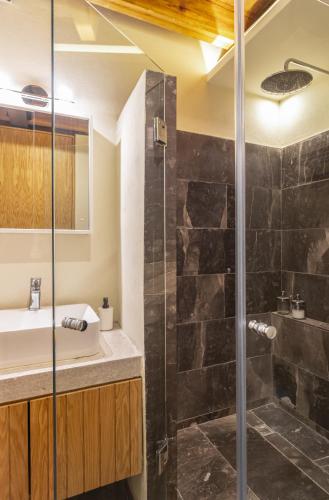 a bathroom with a shower and a sink at Departamento Emilio Dondé zona céntrica CDMX in Mexico City