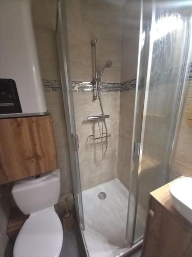 a bathroom with a shower and a toilet and a sink at Studio plein centre des 2 Alpes in Les Deux Alpes