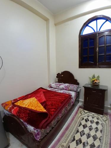 a bedroom with a bed and a window at Osiris Guest House in Abu Simbel