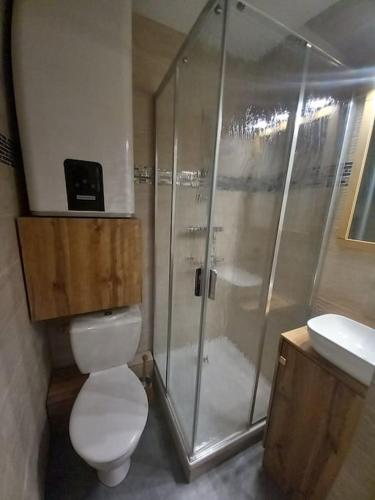 a bathroom with a shower and a toilet and a sink at Studio plein centre des 2 Alpes in Les Deux Alpes