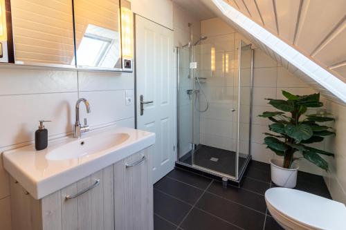 uma casa de banho com um lavatório, um chuveiro e um WC. em Wandalennest em Greetsiel