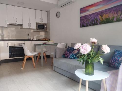 SeaStar Apartment