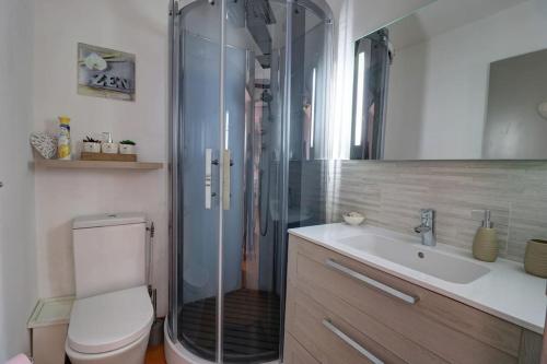 une salle de bain avec une douche, des toilettes et un lavabo dans l'établissement T2 vue Mer avec balcon, climatisé, piscine, à Saint-Cyr-sur-Mer