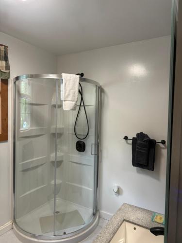 een douche in een badkamer met een glazen douchecabine bij The Lazy Bear Cabin in Long Lake