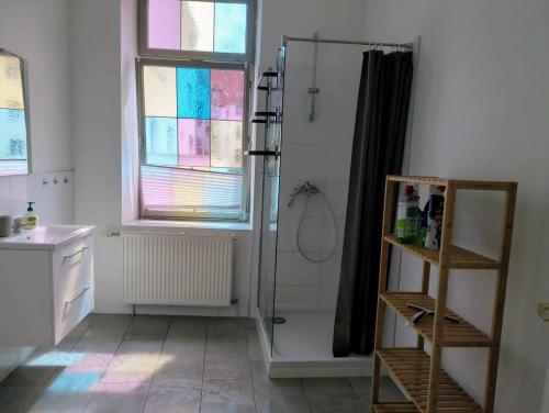 a bathroom with a shower and a sink at L8 Street-Worms in Worms