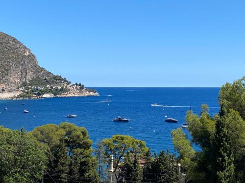 a view of a large body of water with boats at Luxury Villa with Pool & Sea View-10 Minutes from Monaco in Èze