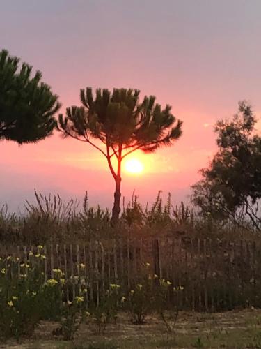 Pieds dans l eau en Camargue