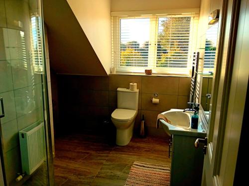 een badkamer met een toilet, een wastafel en een raam bij White Quarry Hse Quarry Road in Navan