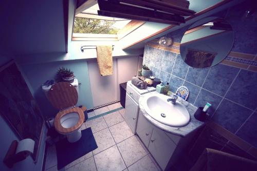 une salle de bain avec toilettes, lavabo et miroir dans l'établissement L'taï : Charmante Maison en pleine Nature !, à Grand-Fougeray