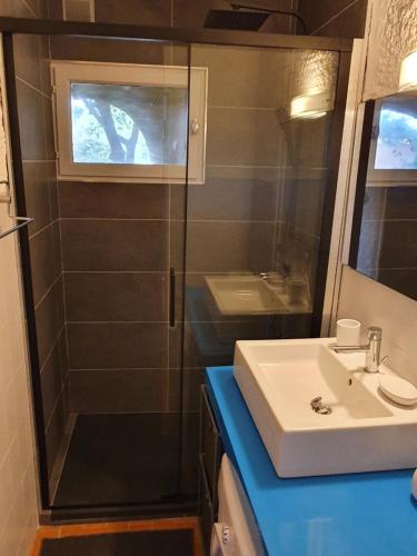 une salle de bain avec un lavabo et une douche dans l'établissement Appartement T1 cabine proche plage, à Lumio
