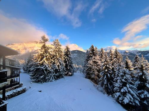 格里翁的住宿－THE ALPINE STUDIO on the ski slopes - by the lake - Alpe des Chaux - Gryon，享有雪覆盖的山林美景