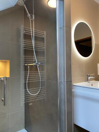 a bathroom with a shower with a sink and a mirror at S-VILLA Apartments im Schwarzwald in Schiltach
