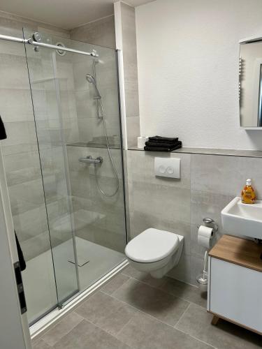 a bathroom with a shower and a toilet and a sink at Ferienwohnung 1 Wiesenweg in Bad Pyrmont