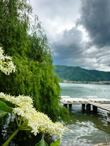 a view of a body of water with a dock at Bungalow- casute in Orşova