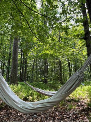 a hammock in the middle of a forest at Pocono Mountain Retreat with Hot Tun and Sauna in Greentown