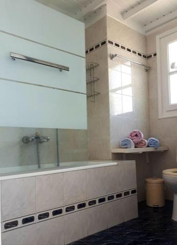 a bathroom with a shower and a toilet at Vasiliki's House in Naxos Chora
