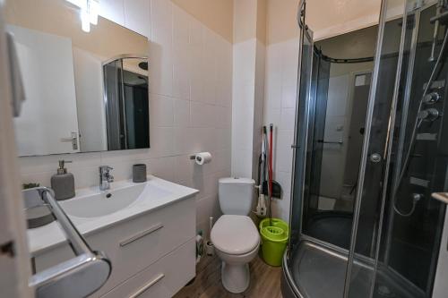 une salle de bain avec une douche, des toilettes et un lavabo dans l'établissement Cosy Eugénie au pied de l'Opéra et du Kiosque, à Vichy